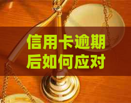 信用卡逾期后如何应对委托方的电话？全面解决用户搜索问题