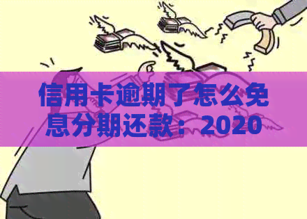 信用卡逾期了怎么免息分期还款：2020年标准与操作指南