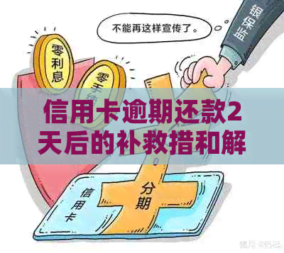 信用卡逾期还款2天后的补救措和解决方法，让你不再担忧逾期风险！