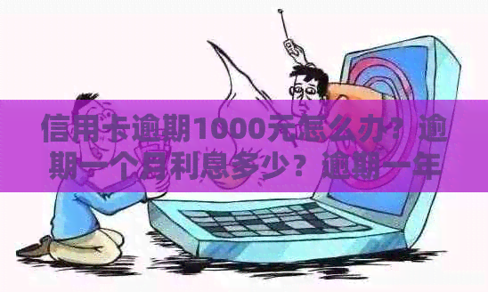 信用卡逾期1000元怎么办？逾期一个月利息多少？逾期一年共需还款多少钱？