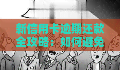 新信用卡逾期还款全攻略：如何避免额度爆满、利息累积和信用受损？