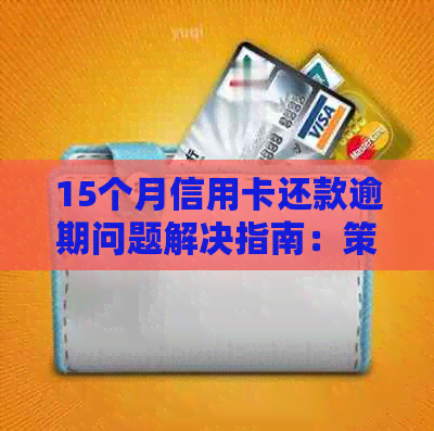 15个月信用卡还款逾期问题解决指南：策略与建议