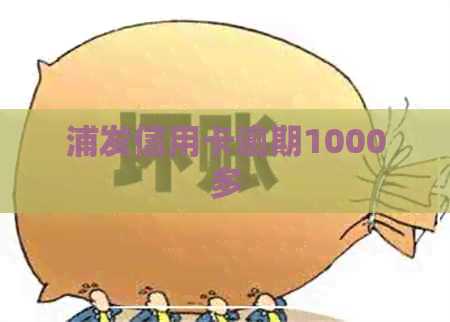 浦发信用卡逾期1000多