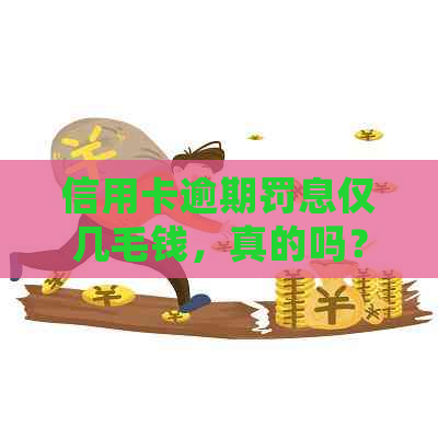 信用卡逾期罚息仅几毛钱，真的吗？可能会有哪些影响？