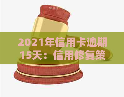 2021年信用卡逾期15天：信用修复策略与影响分析