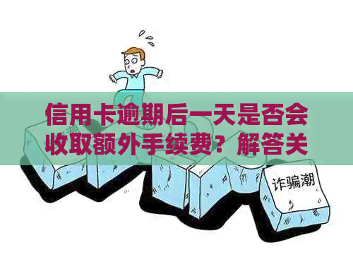 信用卡逾期后一天是否会收取额外手续费？解答关于逾期付款的全面问题