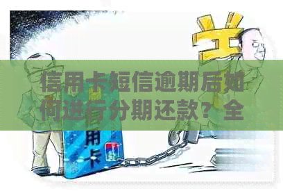 信用卡短信逾期后如何进行分期还款？全面指南助您解决问题！