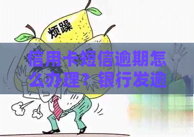 信用卡短信逾期怎么办理？银行发逾期短信后还款