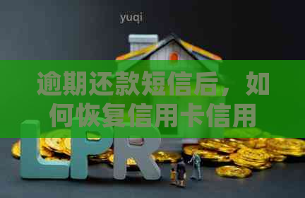 逾期还款短信后，如何恢复信用卡信用及解决相关影响