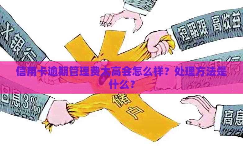 信用卡逾期管理费太高会怎么样？处理方法是什么？