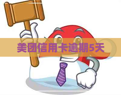 美团信用卡逾期5天