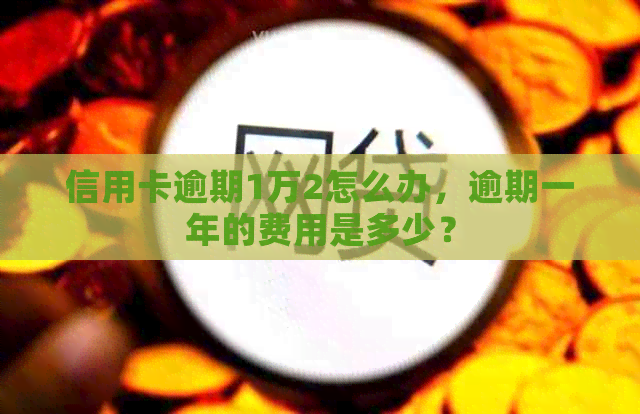 信用卡逾期1万2怎么办，逾期一年的费用是多少？