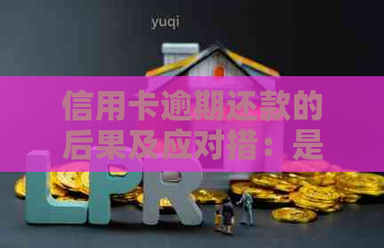 信用卡逾期还款的后果及应对措：是否需要卖房子？