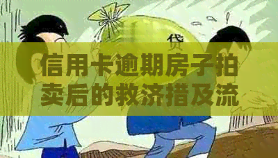 信用卡逾期房子拍卖后的救济措及流程详解