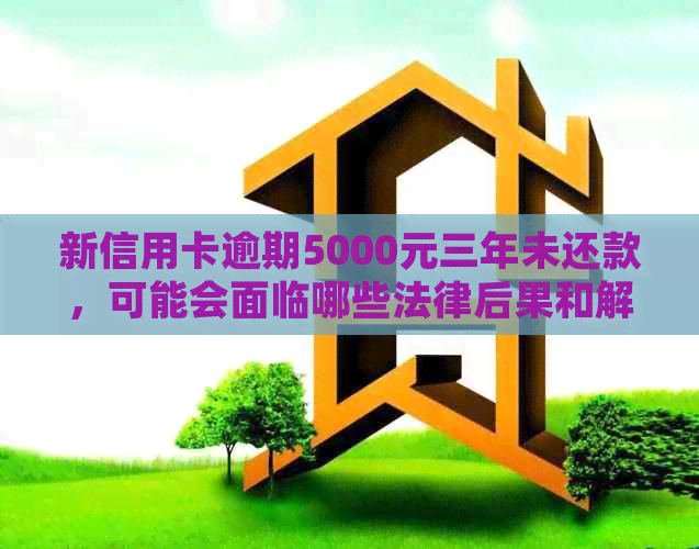 新信用卡逾期5000元三年未还款，可能会面临哪些法律后果和解决方案？