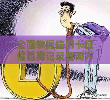 全面掌握信用卡逾期记录查询方法，解决用户各种疑虑和问题