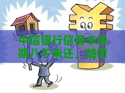 中信银行信用卡逾期八千未还，如何应对立案起诉的危机？