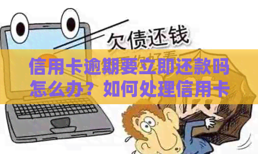 信用卡逾期要立即还款吗怎么办？如何处理信用卡逾期还款问题？