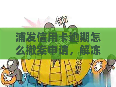 浦发信用卡逾期怎么撤案申请，解冻及期还款操作指南及相关法规