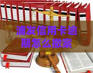 浦发信用卡逾期怎么撤案