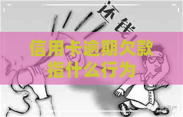 信用卡逾期欠款指什么行为