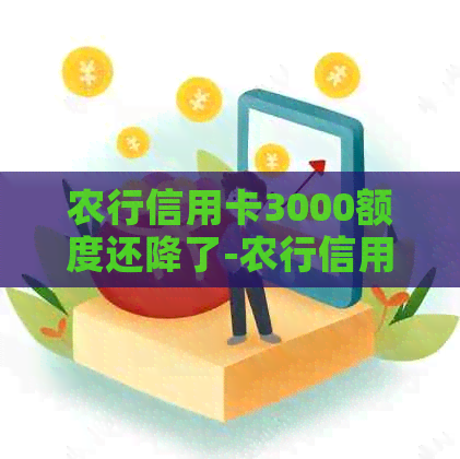 农行信用卡3000额度还降了-农行信用卡3000额度还降了怎么办