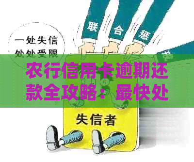 农行信用卡逾期还款全攻略：最快处理方法、影响分析及解决方案