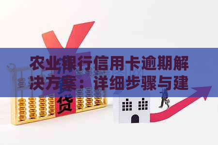 农业银行信用卡逾期解决方案：详细步骤与建议