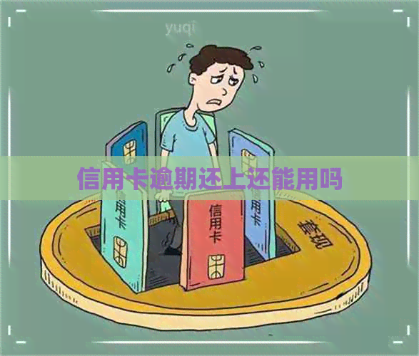 信用卡逾期还上还能用吗