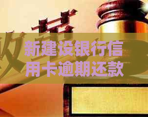 新建设银行信用卡逾期还款协商攻略，如何处理分期问题？