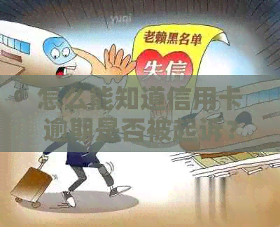 怎么能知道信用卡逾期是否被起诉？