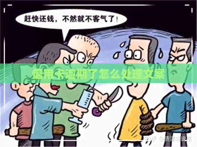 信用卡逾期了怎么处理文案