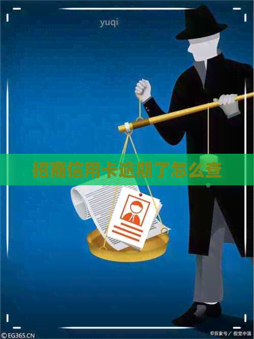 招商信用卡逾期了怎么查