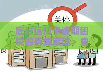 应对信用卡逾期困境的有效策略：自我救赎之道