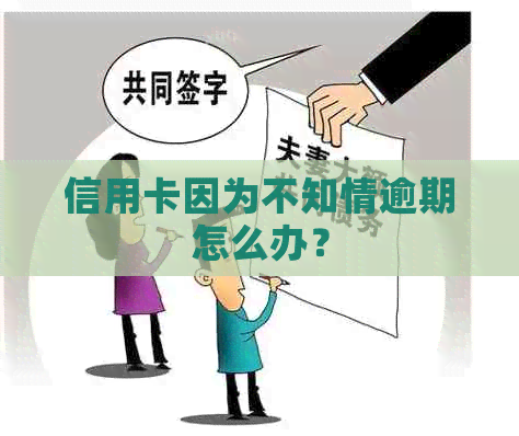 信用卡因为不知情逾期怎么办？