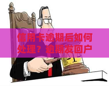 信用卡逾期后如何处理？逾期发回户地会有什么影响？