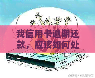 我信用卡逾期还款，应该如何处理？