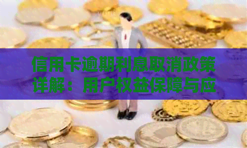 信用卡逾期利息取消政策详解：用户权益保障与应对策略