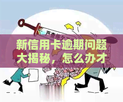 新信用卡逾期问题大揭秘，怎么办才能轻松应对？