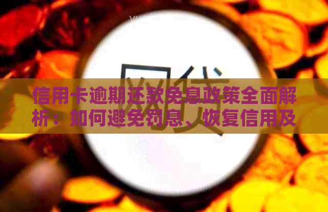 信用卡逾期还款免息政策全面解析：如何避免罚息、恢复信用及更多解决方案！