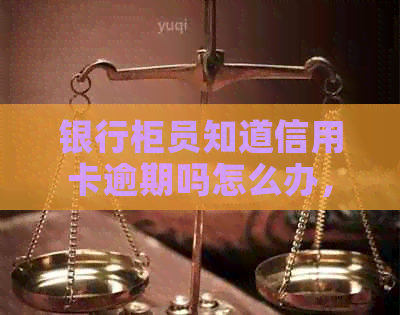 银行柜员知道信用卡逾期吗怎么办，办理蓄卡时能查到信用卡逾期记录吗？