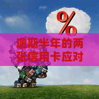 逾期半年的两张信用卡应对策略