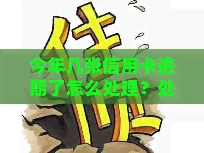 今年几张信用卡逾期了怎么处理？处理方式全解析