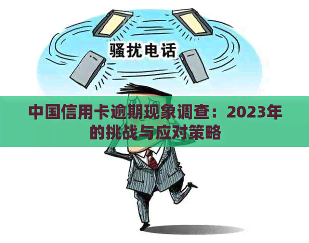 中国信用卡逾期现象调查：2023年的挑战与应对策略