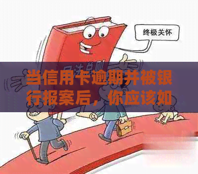 当信用卡逾期并被银行报案后，你应该如何处理？