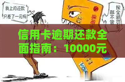 信用卡逾期还款全面指南：10000元逾期处理方案及应对策略