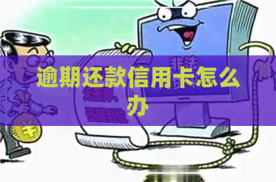 逾期还款信用卡怎么办