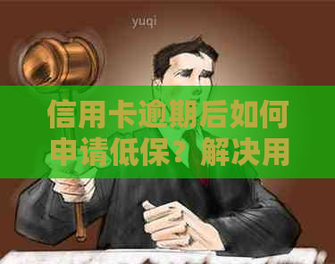 信用卡逾期后如何申请低保？解决用户可能遇到的相关问题