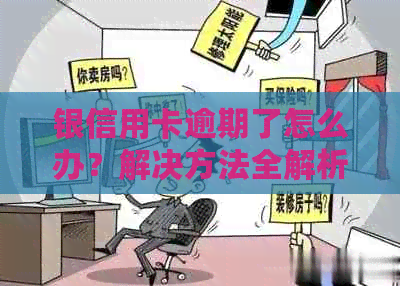 银信用卡逾期了怎么办？解决方法全解析及影响分析