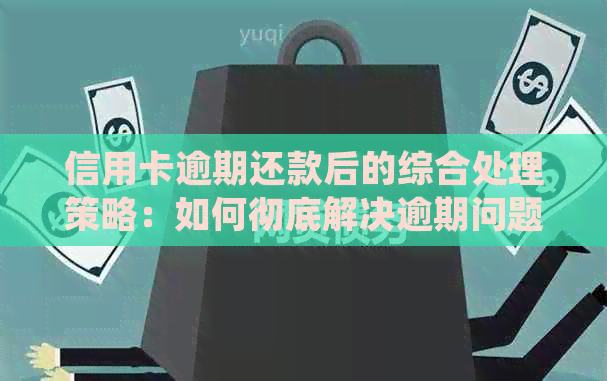 信用卡逾期还款后的综合处理策略：如何彻底解决逾期问题并优化信用记录